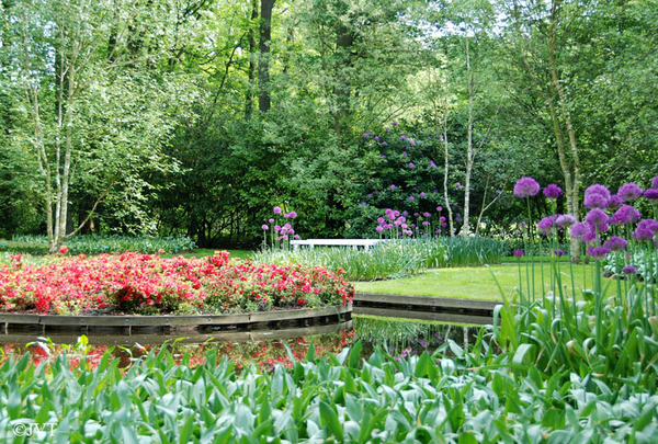 Keukenhof