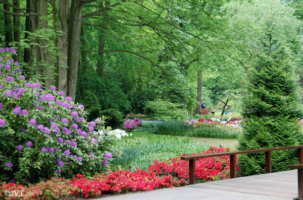 Keukenhof