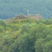 P1020484 (Small)