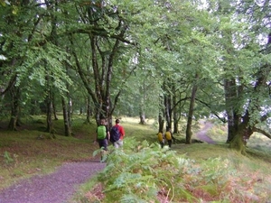 Schotland Sept '10 086 (Small)