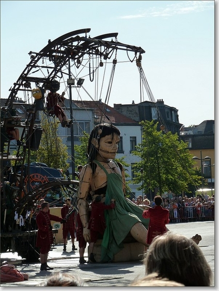 sized_P1000773