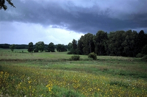 Landelijk Polen