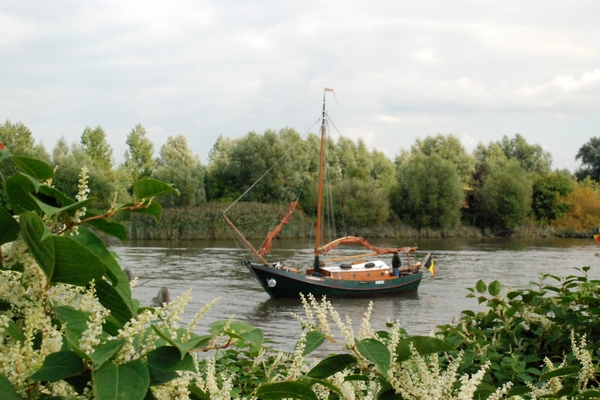 06 Wandeling Baasrode vlootparade 18.09.10