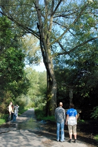 57 Wandeling Baasrode  Vlassenbroek de wenende boom -  18.09.10