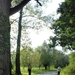 60 Wandeling Baasrode  Vlassenbroek de wenende boom -  18.09.10