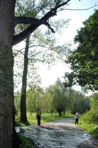 60 Wandeling Baasrode  Vlassenbroek de wenende boom -  18.09.10