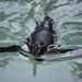 2010-09-17 Zoo Sennet (154)