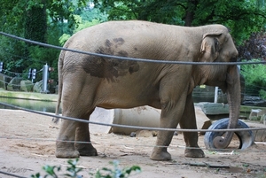 2010-09-17 Zoo Sennet (181)