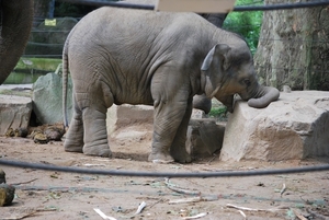 2010-09-17 Zoo Sennet (185)