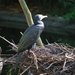 2010-09-17 Zoo Sennet (205)