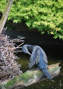 2010-09-17 Zoo Sennet (207)