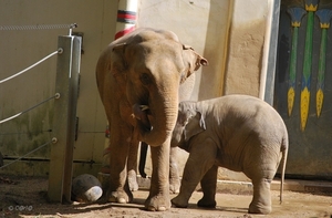 2010-09-17 Zoo Sennet (220)