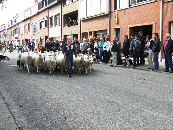 geitenstoet Wilrijk 19 septemer 2010 066