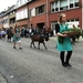 geitenstoet Wilrijk 19 septemer 2010 128