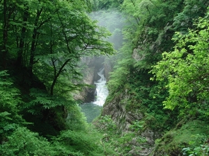 DSC03052