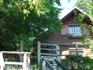 DSC03093