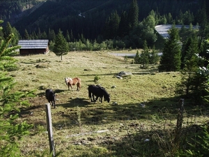 Slovenië voorbereiding 2009 021