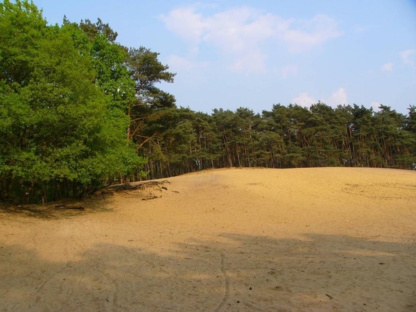 Geel - Bel 01
