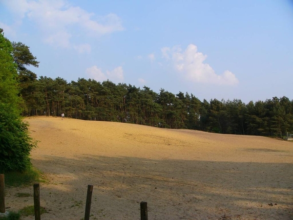 Geel - Bel 02
