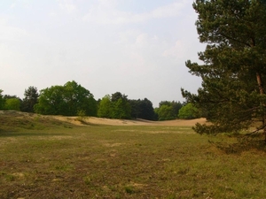 Geel - Bel 05