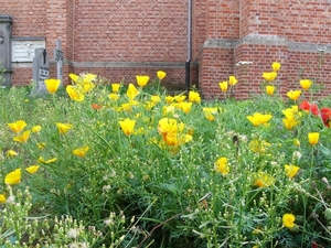 P1260106