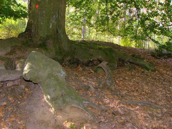 P1260127