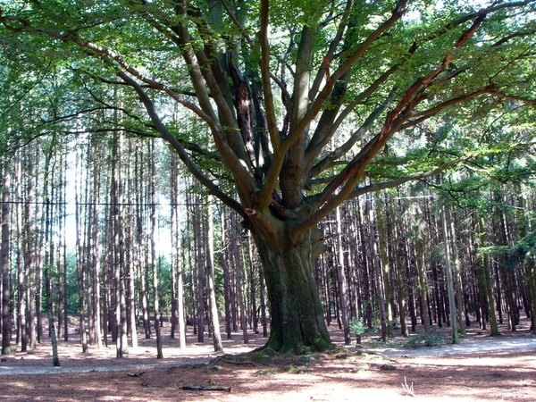 P1260128