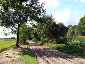 P1260130
