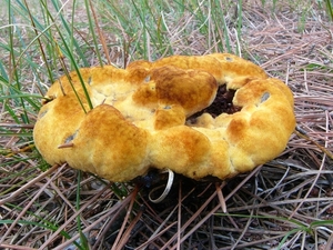 P1260142