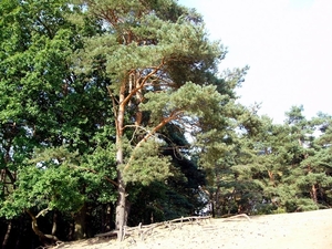 P1260184