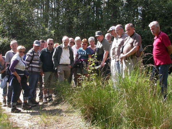 wandeling den Bunt 4 sept 2010 in Bel 021