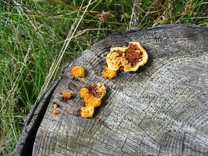 Oostkantons 084