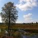 P1260449