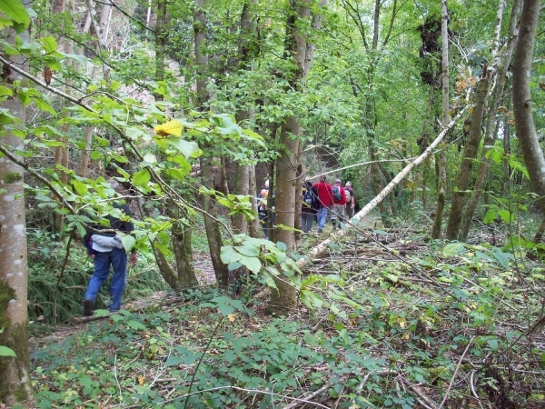 Houyet - 19.09.2010 (12)