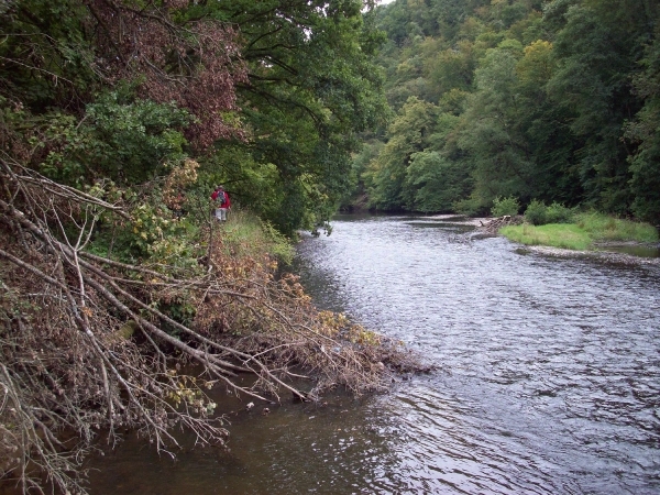 Houyet - 19.09.2010 (8)