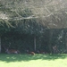 Ternell 2010 032