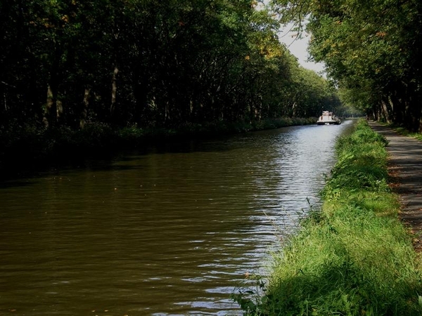 Kanaal (tje) Dessel-Schote
