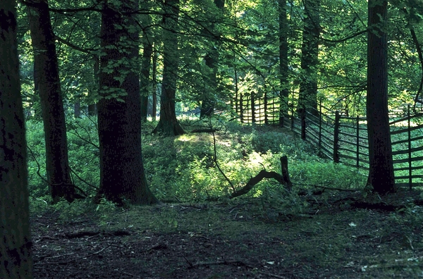 Veltrusy