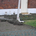 CIMG0432