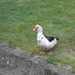 CIMG0433