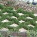 DSCF0019