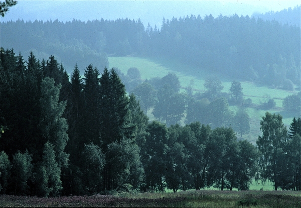 Tsjechi�