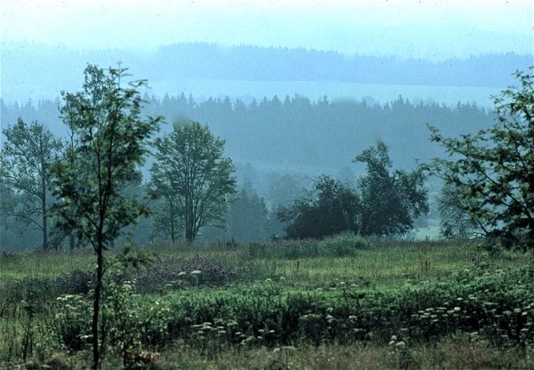 Tsjechi�