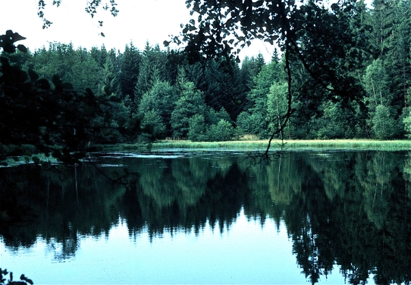 Tsjechi�