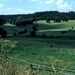 Tsjechi
