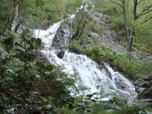 Glen Nevis - wandeling 1