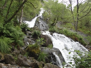 Glen Nevis - wandeling 1