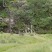 Glen Nevis - wandeling 2