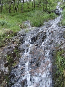 Glen Nevis - wandeling 2