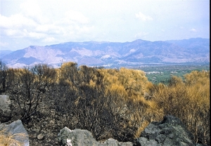 Etna